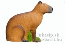 3D cél, capybara - SRT