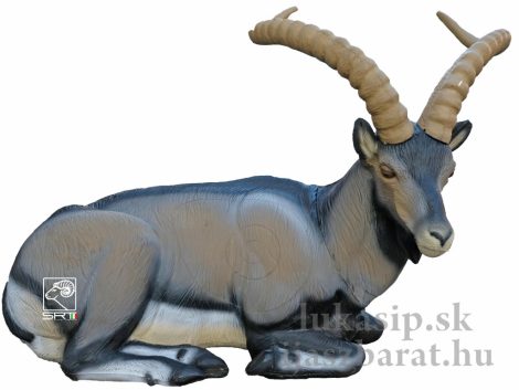 3D cél, fekvő ibériai kecskebak - SRT