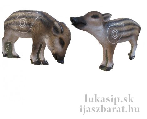 3D cél, malackák - SRT