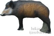 3D cél, süldő SRT