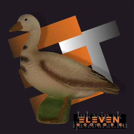 3D cél, liba – Eleven