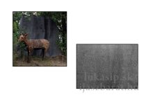 Backstop Protector mat 2 x 2 m