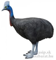 3D kazuár (cassowary) Eleven