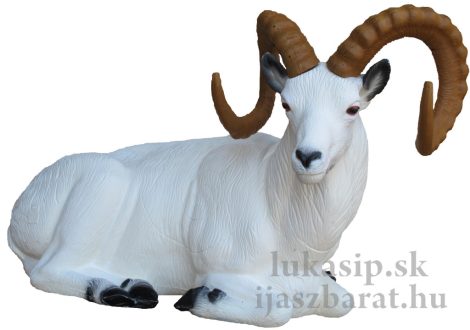 3D cél, fekvő Dall juh - SRT